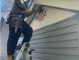 Best Fascia and Soffit Installation  in Jamestown, ND